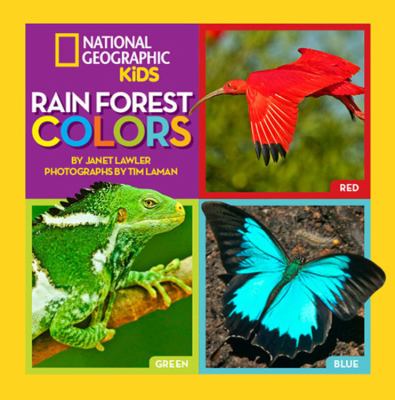 Rain forest colors  cover image cdn