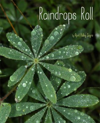 Raindrops roll  cover image cdn