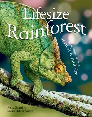 Lifesize rainforest  cover image cdn