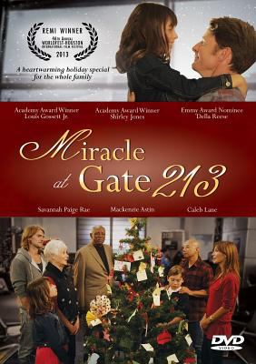 Miracle at Gate 213 cover image cdn