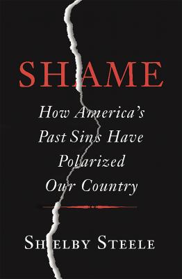 Shame : how America's past sins have polarized our country  cover image cdn