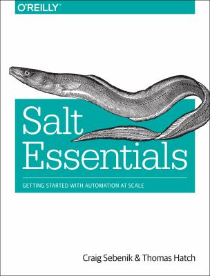 Salt essentials cover image