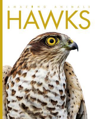 Hawks  cover image cdn