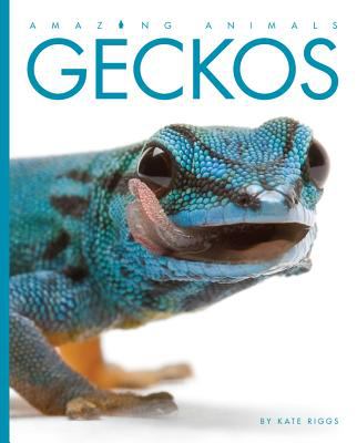 Geckos  cover image cdn