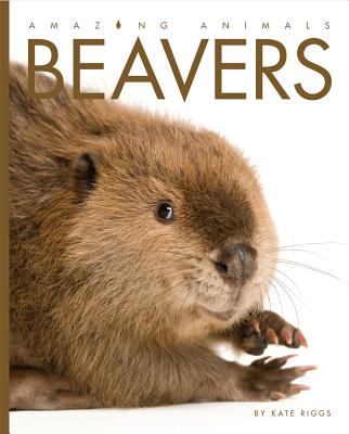 Beavers  cover image cdn