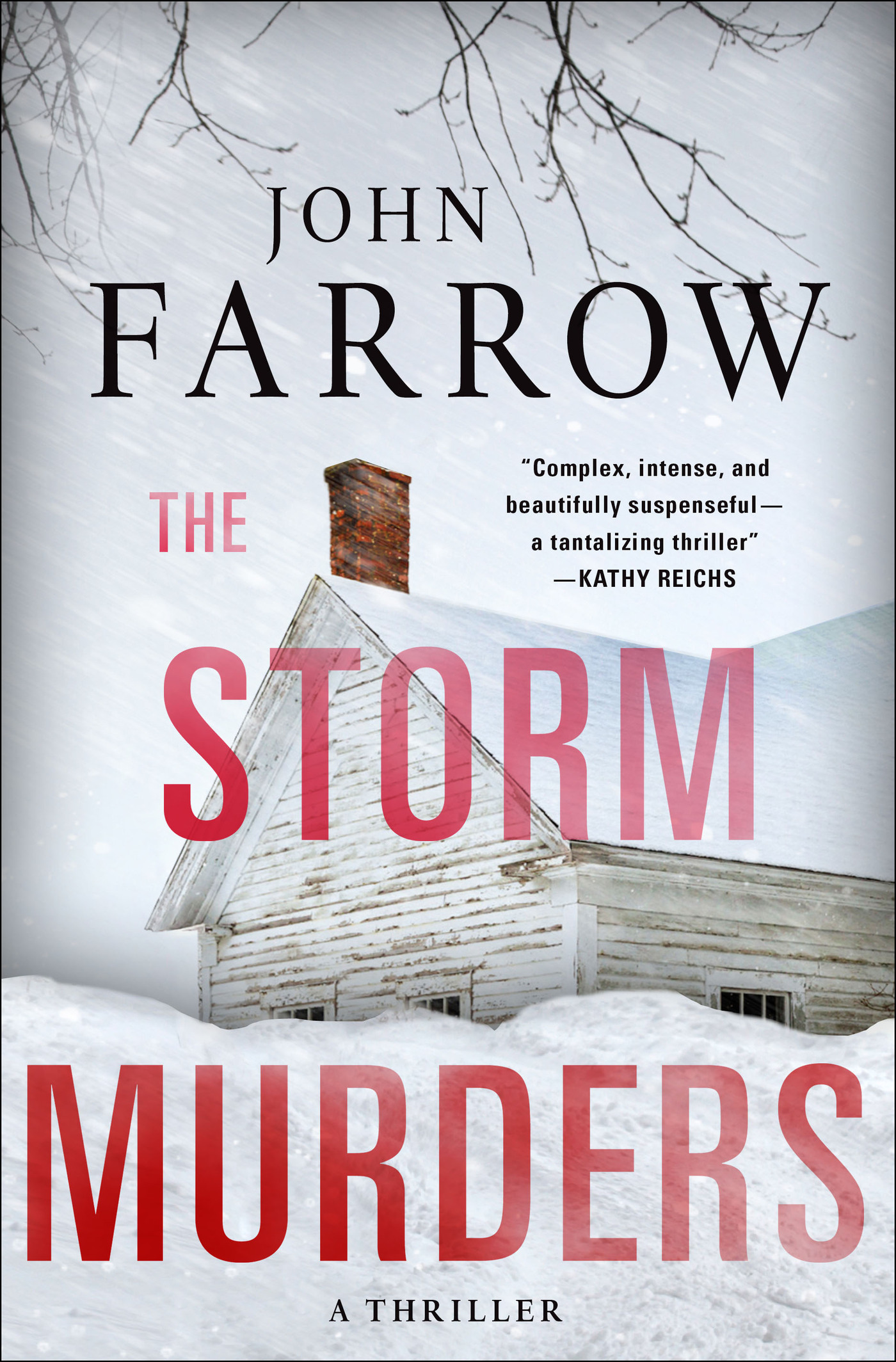 The storm murders  cover image cdn