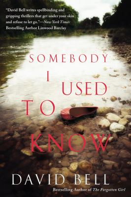 Somebody I used to know  cover image cdn