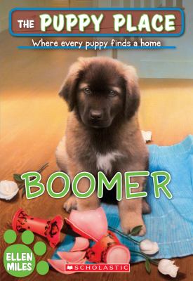 Boomer  cover image cdn