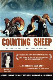 Counting sheep restoring the Sierra Nevada Bighorn cover image cdn