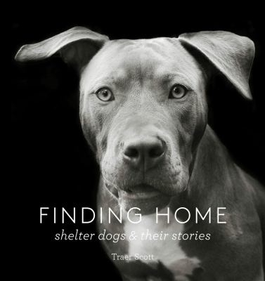 Finding home : shelter dogs and their stories  cover image cdn
