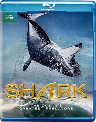 Shark cover image cdn