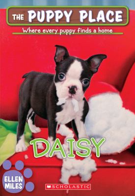 Daisy  cover image cdn