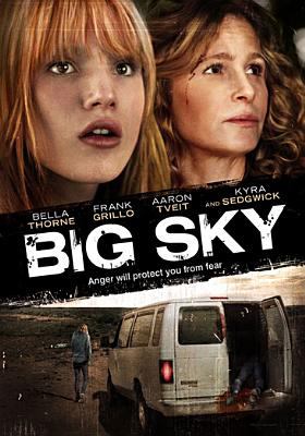 Big sky cover image