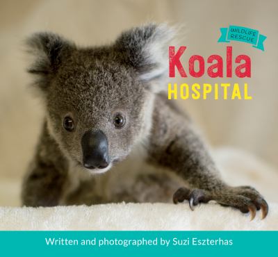 Koala hospital  cover image cdn