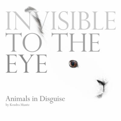 Invisible to the eye : animals in disguise  cover image cdn