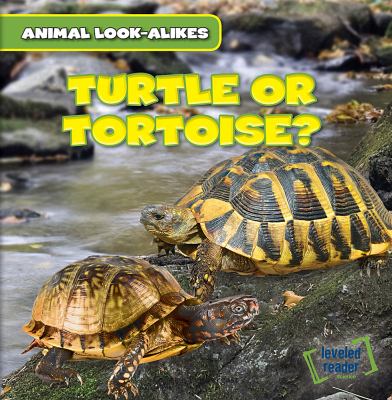 Turtle or tortoise?  cover image cdn