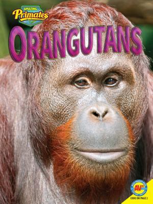 Orangutans  cover image cdn