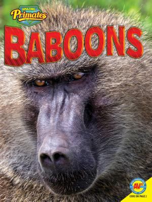 Baboons  cover image cdn