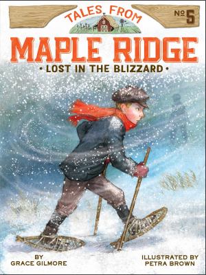Lost in the blizzard  cover image cdn