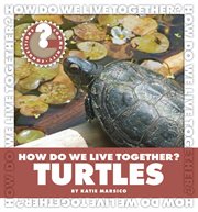 Turtles cover image cdn
