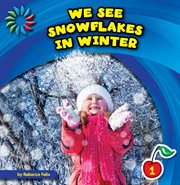 We see snowflakes in winter cover image cdn