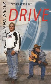 Drive cover image cdn