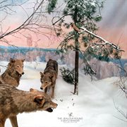 A gentle reminder [deluxe edition] cover image cdn