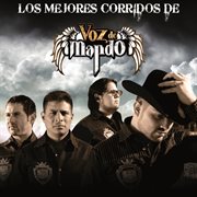 Los mejores corridos de cover image cdn