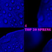 Top 20 spring, vol. 4 cover image cdn