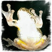 Time capsule cover image cdn