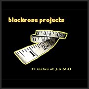 12 inches of j.a.m.o cover image cdn