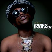 The best of bobby womack - the soul years cover image cdn