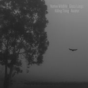 Nw/gl/kt/av cover image cdn