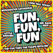 Fun, fun, fun cover image cdn