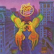 Night lights harmony cover image cdn