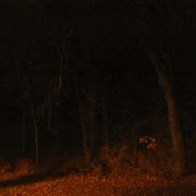 Away from this world cover image cdn