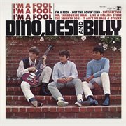 I'm a fool cover image cdn