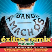 Exitos remix cover image cdn