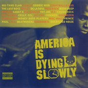 America is dying slowly cover image cdn