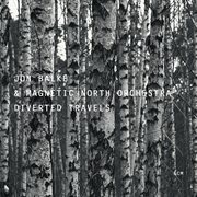 Diverted travels cover image cdn