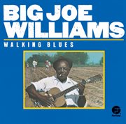 Walking blues cover image cdn