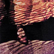 Red dust & spanish lace cover image cdn