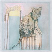 Ready country nimbus cover image cdn