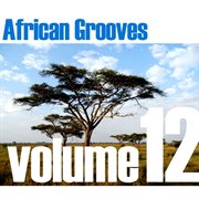 African grooves vol.12 cover image cdn