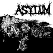 Asylum cover image cdn