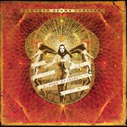 Hide nothing cover image cdn