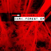 Dark forest cover image cdn