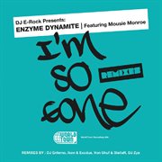 Dj e-rock presents: i'm so gone the remixes cover image cdn
