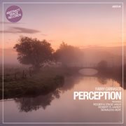Perception cover image cdn
