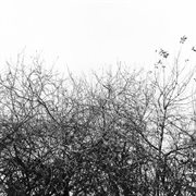 Lost with the lights on cover image cdn